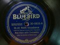 bluebird 30-0816